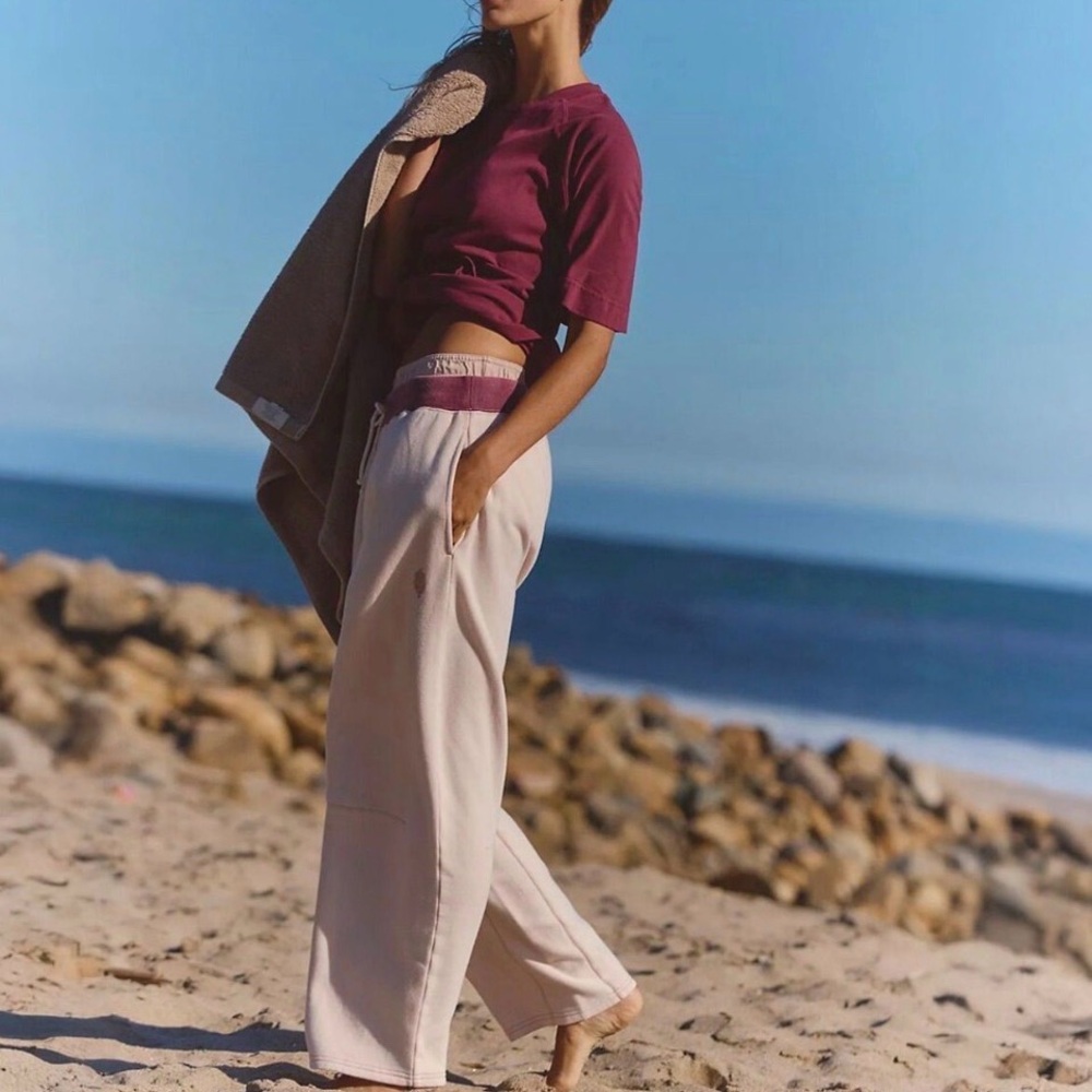 NWT Free People You Wish Pants In Ballet Slipper Size Large - Picture 2 of 6